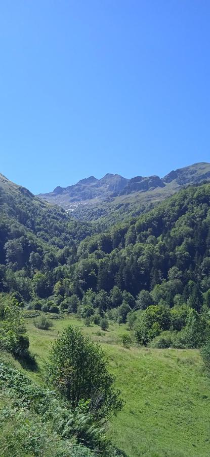 Studio Le Mont Beas Aulus-les-Bains Buitenkant foto
